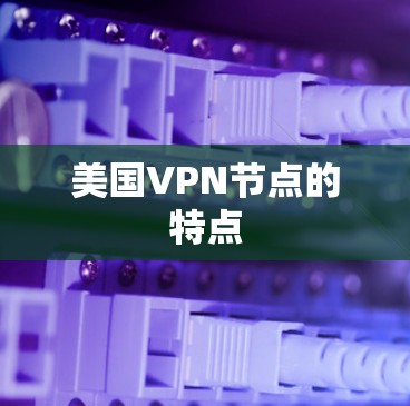 美国VPN节点的特点