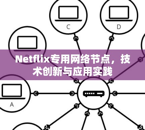 Netflix专用网络节点,技术创新与应用实践