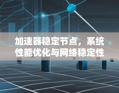 加速器稳定节点，系统性能优化与网络稳定性提升