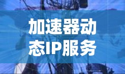 加速器动态IP服务是一种结合网络加速和智能IP地址管理的技术，旨在提升网络性能和资源利用率。以下是对该技术的详细分析