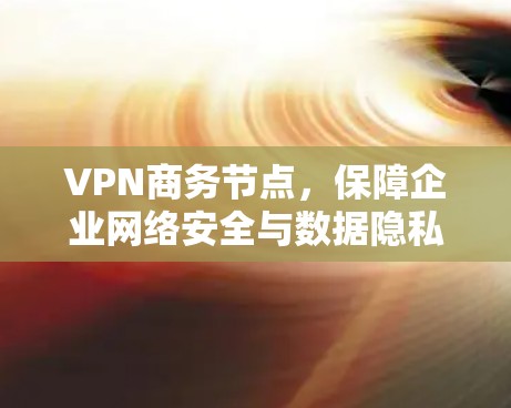 VPN商务节点，保障企业网络安全与数据隐私