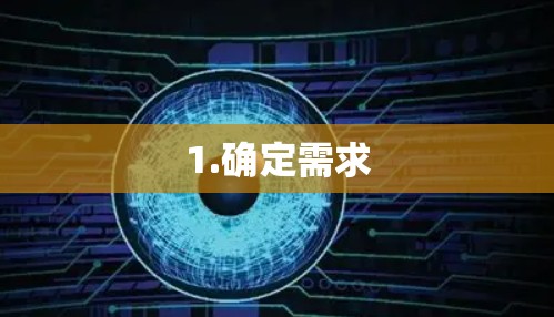 1.确定需求