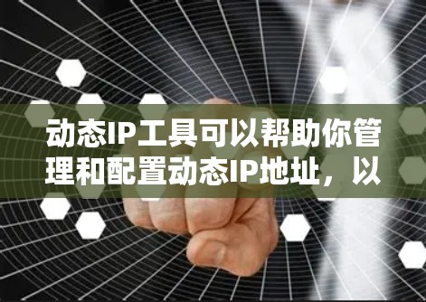 动态IP工具可以帮助你管理和配置动态IP地址，以确保你的服务始终有一个可用的IP地址。这对于云服务器、微服务架构和容器化应用尤其有用。以下是一些常用的动态IP工具及其配置步骤