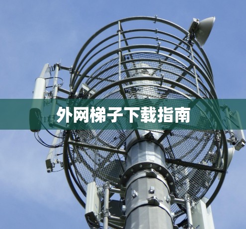 外网梯子下载指南