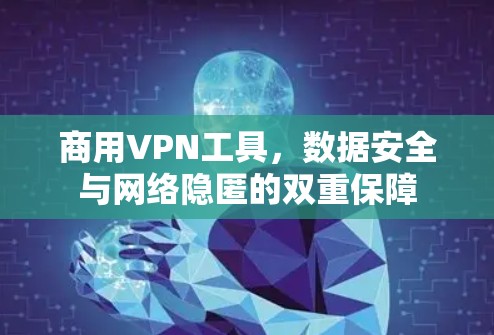 商用VPN工具,数据安全与网络隐匿的双重保障 商用VPN工具,数据安全与网络隐匿的双重保障