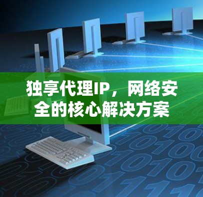 独享代理IP，网络安全的核心解决方案