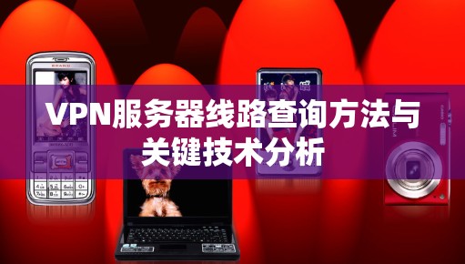 VPN服务器线路查询方法与关键技术分析