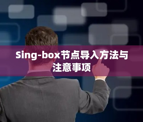 Sing-box节点导入方法与注意事项 Sing-box节点导入方法与注意事项