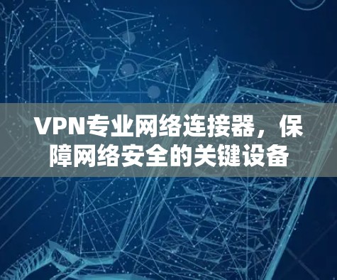 VPN专业网络连接器,保障网络安全的关键设备 VPN专业网络连接器,保障网络安全的关键设备