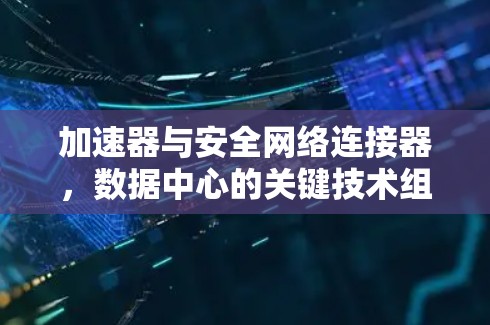 加速器与安全网络连接器,数据中心的关键技术组合 加速器与安全网络连接器,数据中心的关键技术组合
