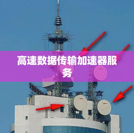 高速数据传输加速器服务