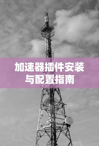 加速器插件安装与配置指南