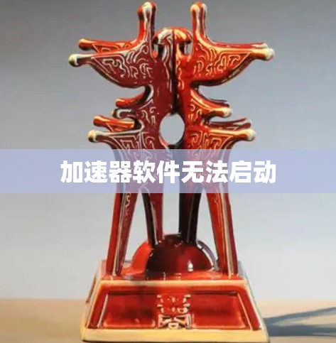 加速器软件无法启动 加速器软件无法启动
